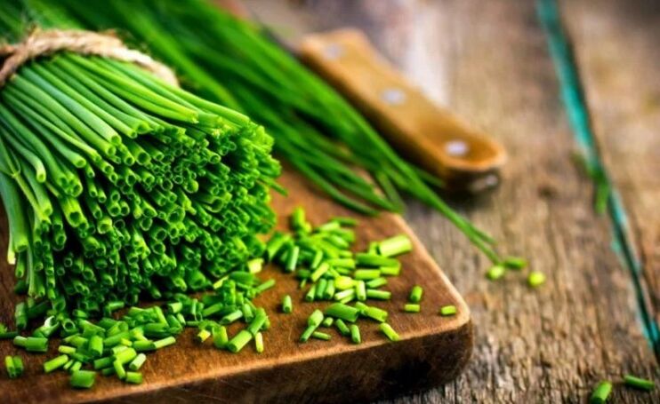 Cebola verde