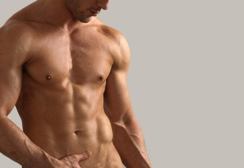 Corpo superior masculino