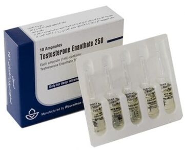 Estimulantes hormonais de potencia nos homes