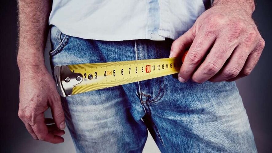 O tamaño medio do pene dun home durante unha erección é de 13 cm